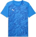 Puma teamFINAL26 Graphic Trikot 1/4 Arm