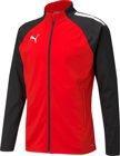 Puma teamLIGA Trainingsjacke