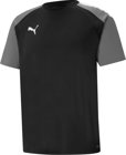 Puma teamPACER Trikot 1/4 Arm