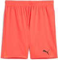 Puma teamGOAL Short ohne Innenslip