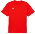 Puma teamGOAL Trainingsshirt