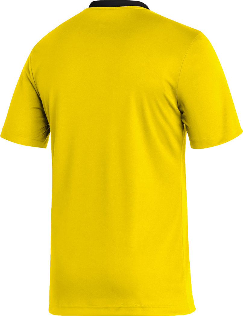 Produkte / / Trainingsshirt Adidas 22 Hofbauer Entrada Teamsport