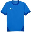 Puma teamFINAL Trikot 1/4 Arm 