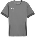 Puma teamGOAL Trikot 1/4 Arm