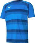 Puma teamVISION Trikot 1/4 Arm