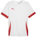 Puma teamGOAL Trikot 1/4 Arm