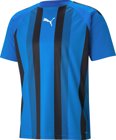 Puma teamLIGA Striped Trikot 1/4 Arm 