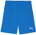 Puma teamGOAL Short ohne Innenslip