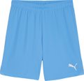 Puma teamGOAL Short ohne Innenslip