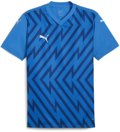 Puma teamGLORY Trikot 1/4 Arm 