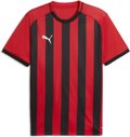Puma teamLIGA26 Striped Trikot 1/4 Arm