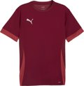 Puma teamGOAL Trikot 1/4 Arm