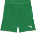 Puma teamCUP Short ohne Innenslip