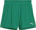 Puma teamGOAL Handball Short Damen