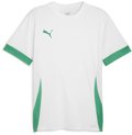 Puma teamGOAL Trikot 1/4 Arm