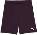 Puma teamGOAL Short ohne Innenslip