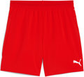 Puma teamCUP Short ohne Innenslip