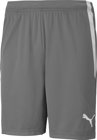 Puma teamLIGA Short ohne Innenslip