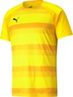 Puma teamVISION Trikot 1/4 Arm