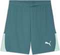 Puma teamLIGA26 Short ohne Innenslip