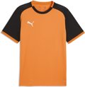 Puma teamLIGA26 Matchday Trikot 1/4 Arm