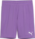 Puma teamGOAL Short ohne Innenslip